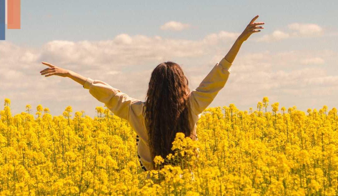 Financial Freedom: What It Really Means and How to Achieve It