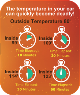 Infographic showing how fast a car heats up: outside 80°F; inside temperatures 99°F (10 min), 109°F (20 min), 114°F (30 min), and 120°F (60 min) with stopwatch icons.
